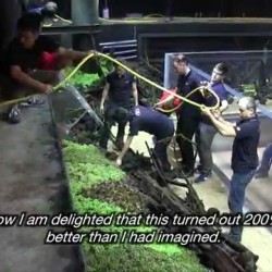 ?The Road to the World?s Largest Nature Aquarium? First shot: Digest - YouTube